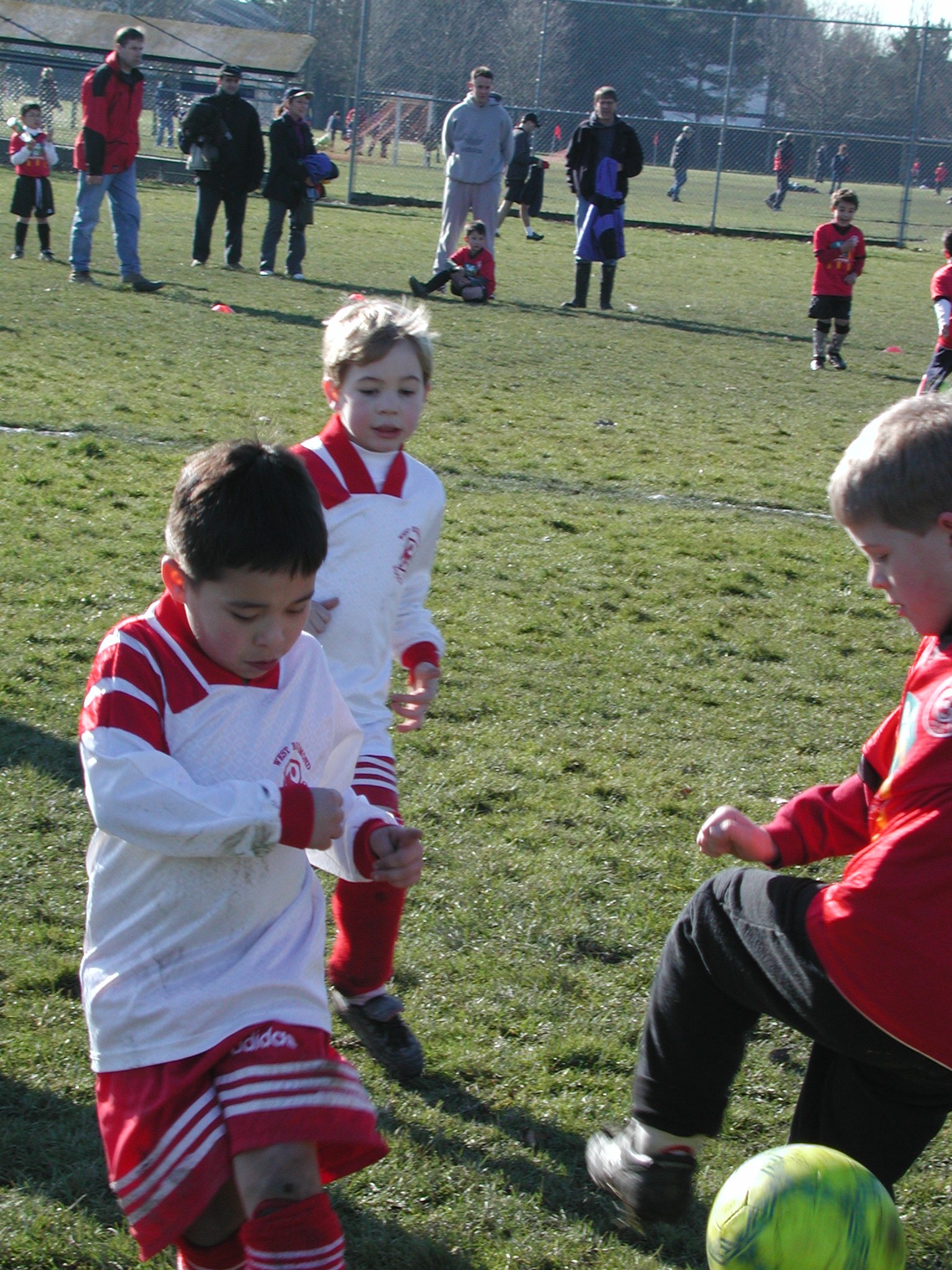 DSCN3011.JPG, 800624 bytes, 3/02/02