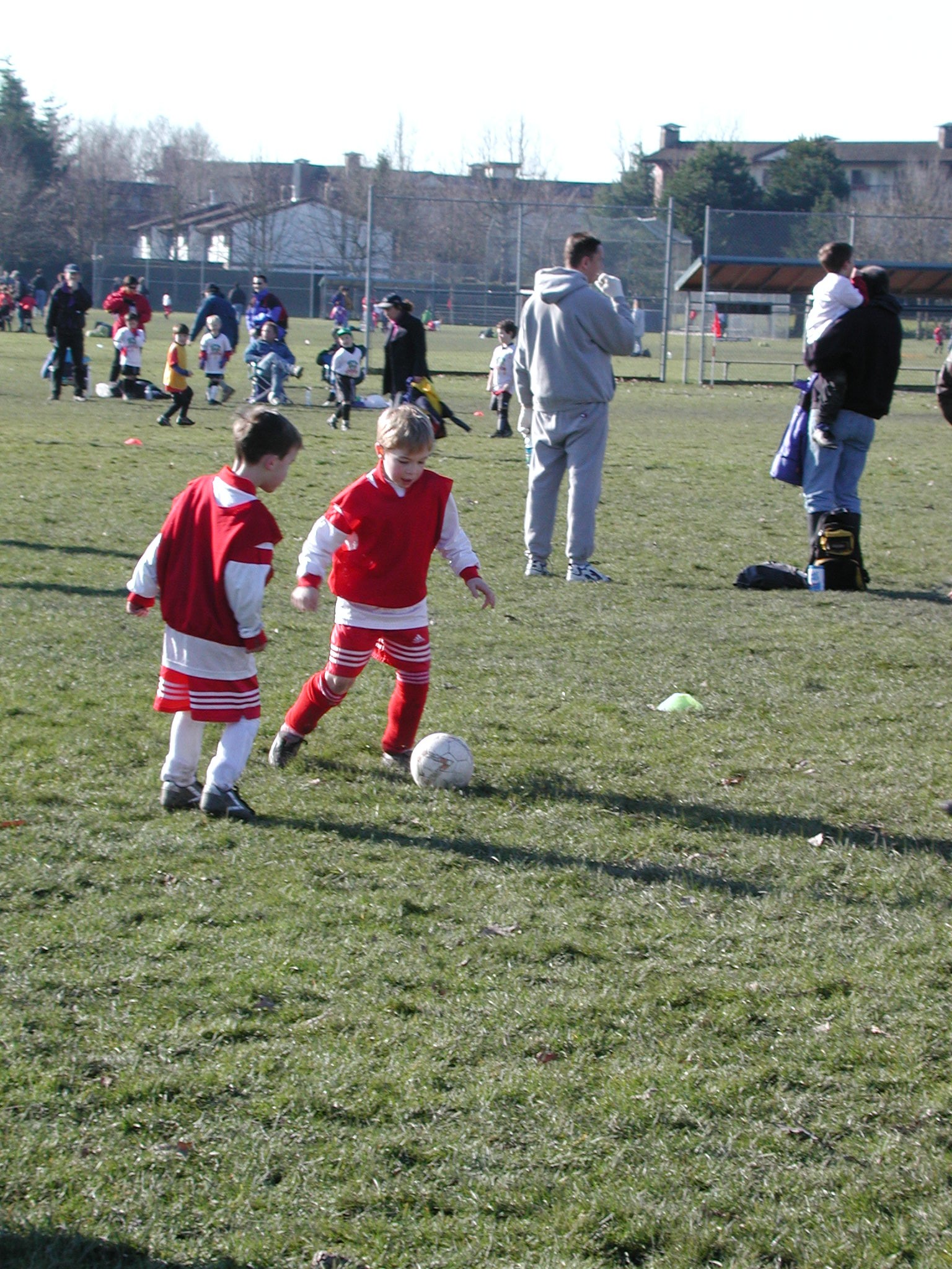 DSCN3012.JPG, 811020 bytes, 3/02/02
