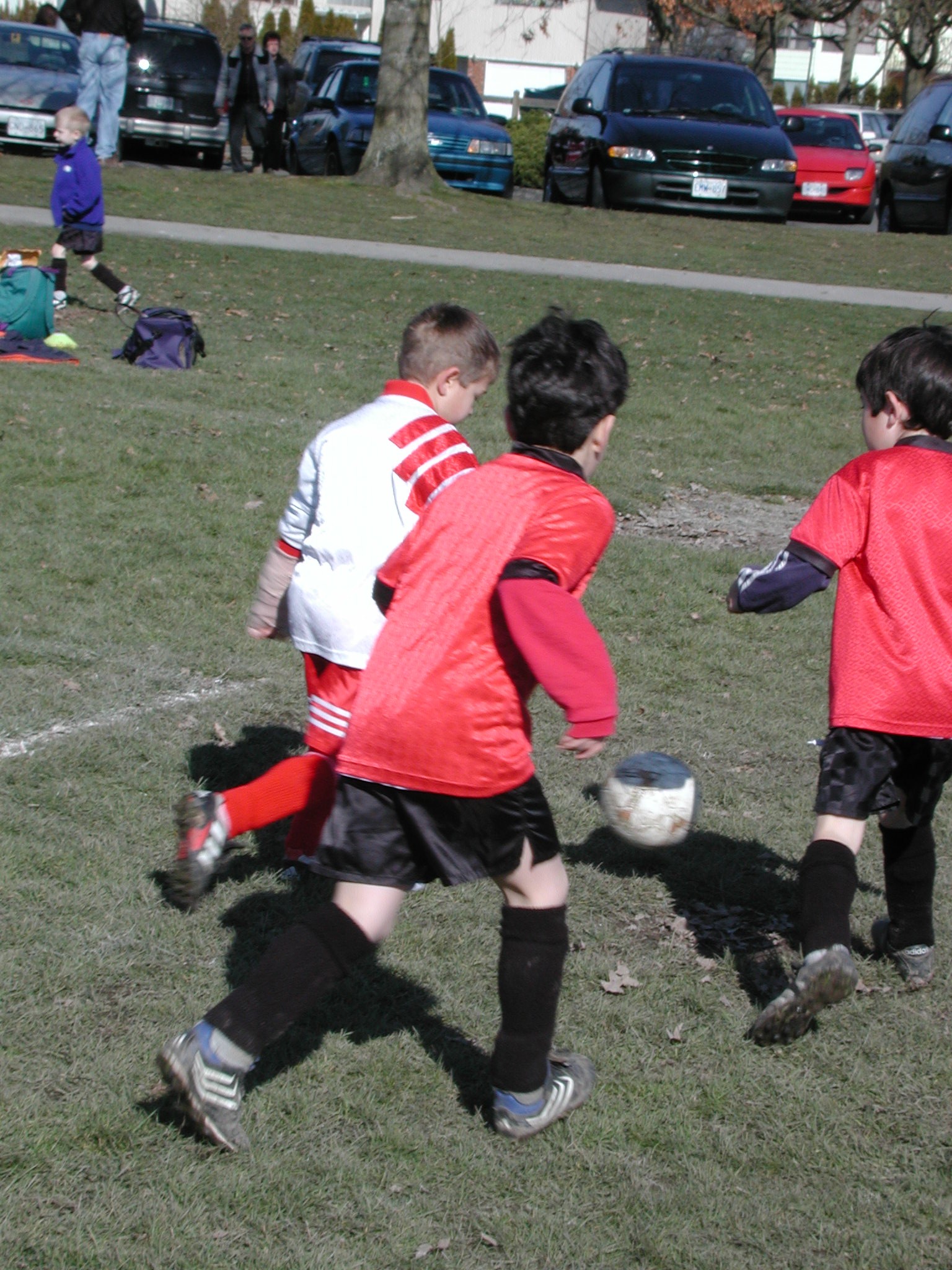 DSCN3053.JPG, 709734 bytes, 3/03/02