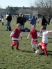 DSCN3016.JPG