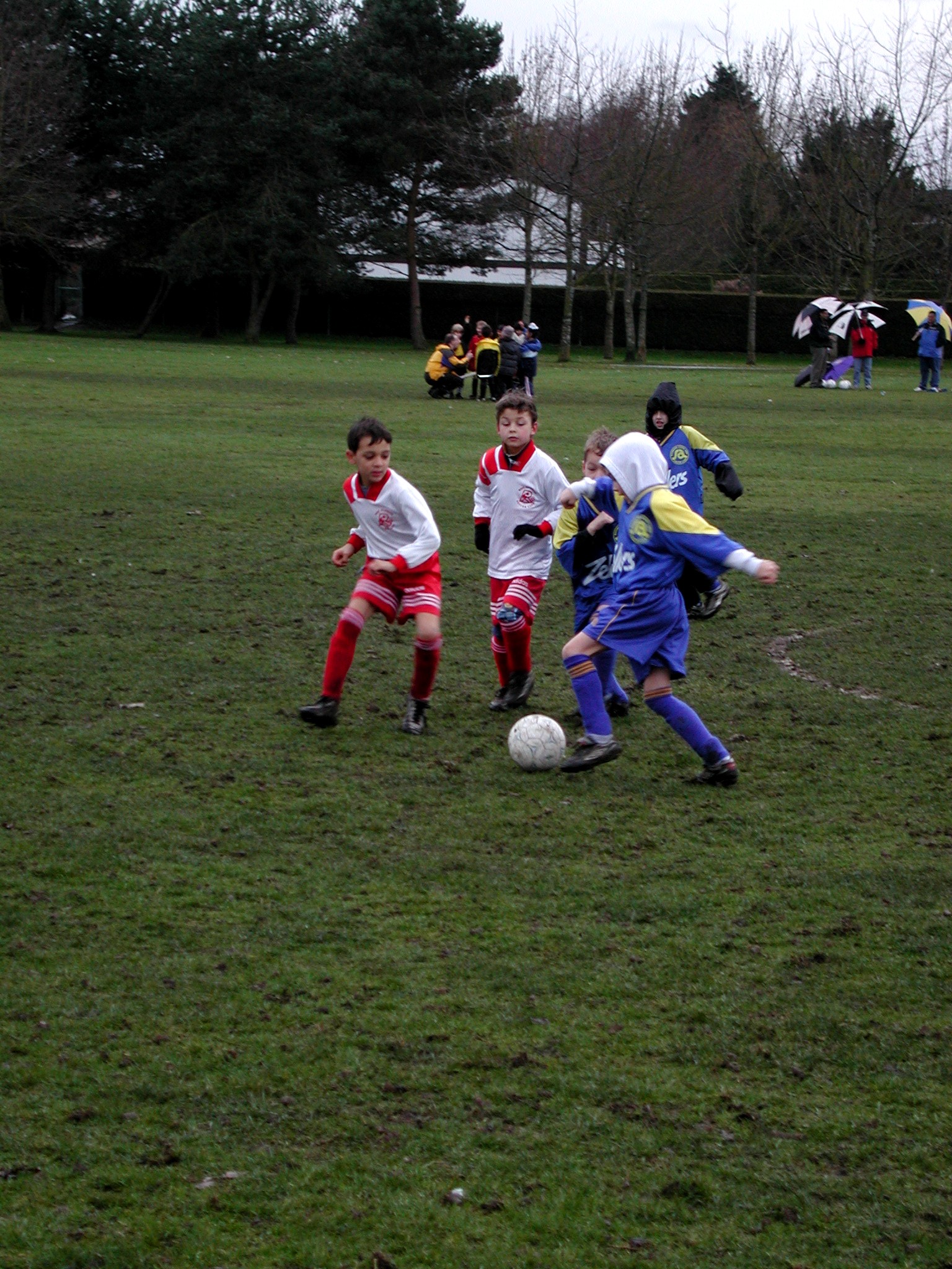 DSCN6272.JPG, 865079 bytes, 2/20/03