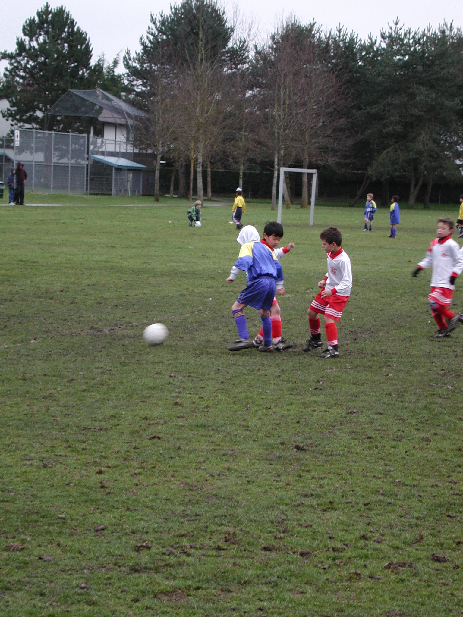 DSCN6277.JPG, 844390 bytes, 2/20/03