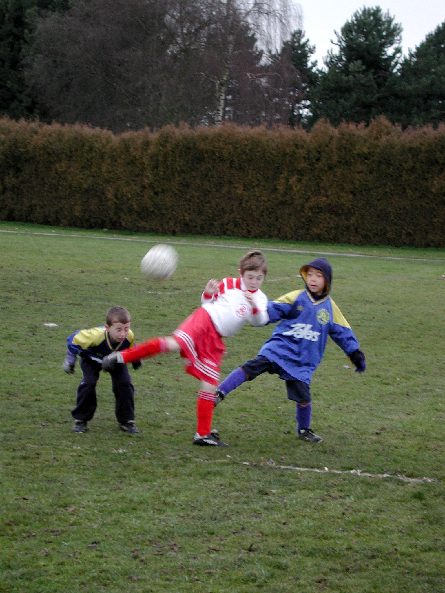 DSCN6282.JPG, 802852 bytes, 2/20/03