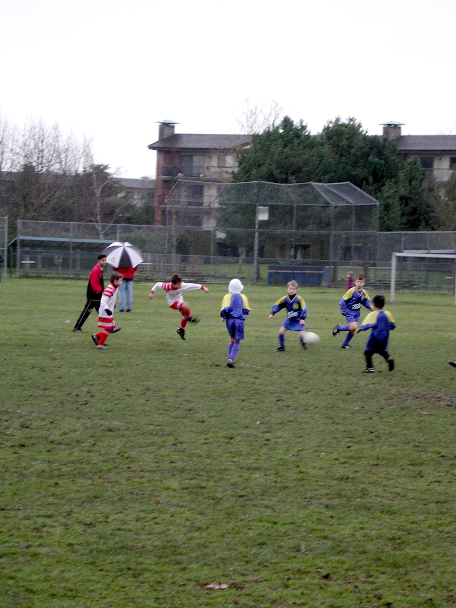 DSCN6287.JPG, 716783 bytes, 3/02/03