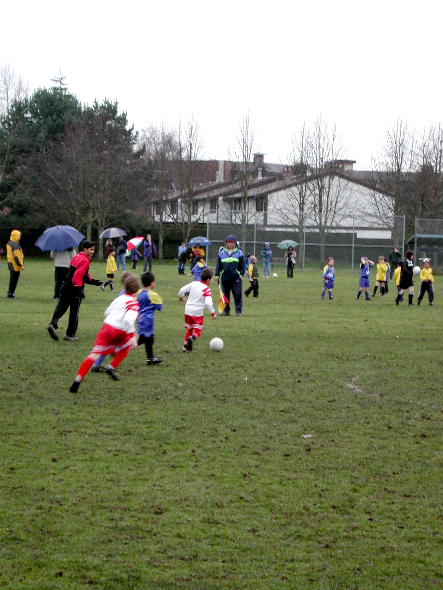DSCN6288.JPG, 748506 bytes, 3/02/03