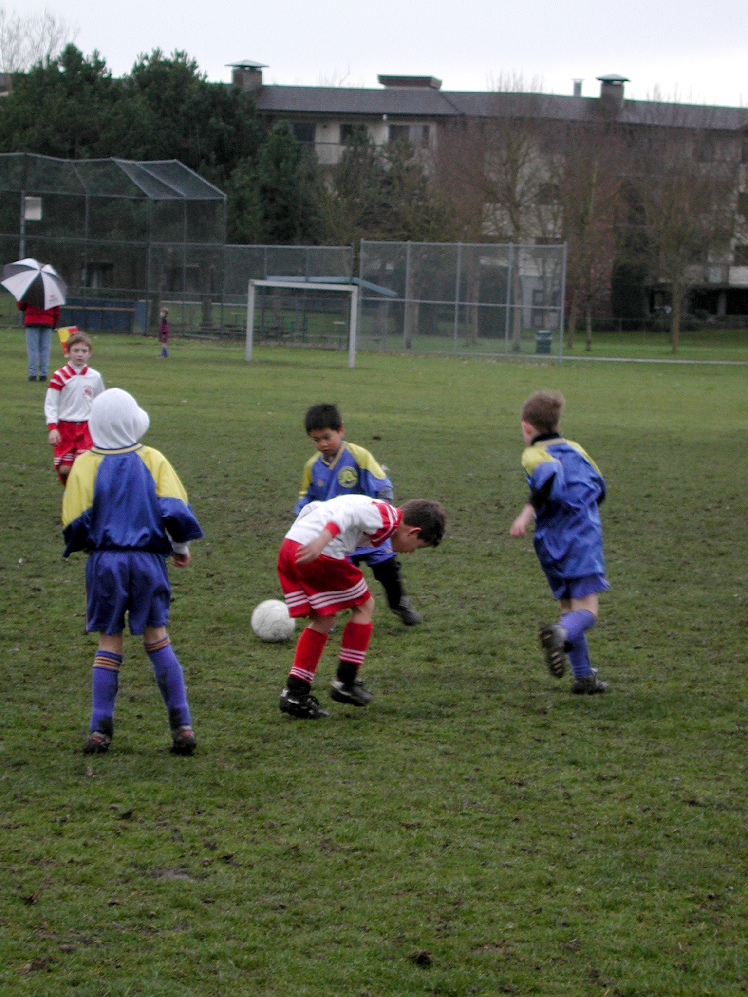 DSCN6290.JPG, 802055 bytes, 3/02/03