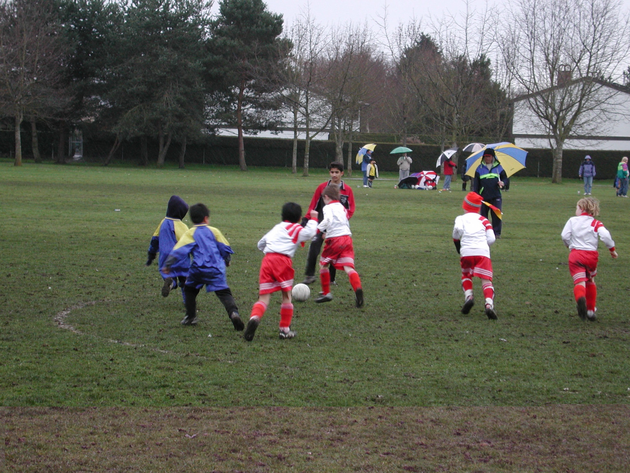 DSCN6297.JPG, 1045266 bytes, 2/15/03