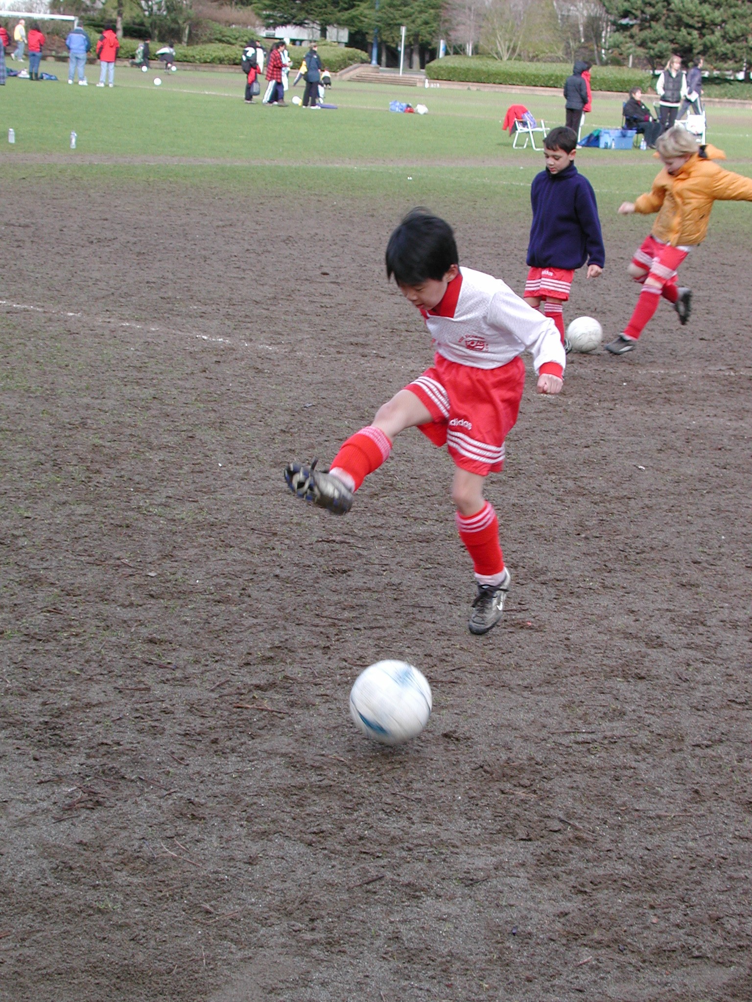 DSCN6344.JPG, 941553 bytes, 3/02/03