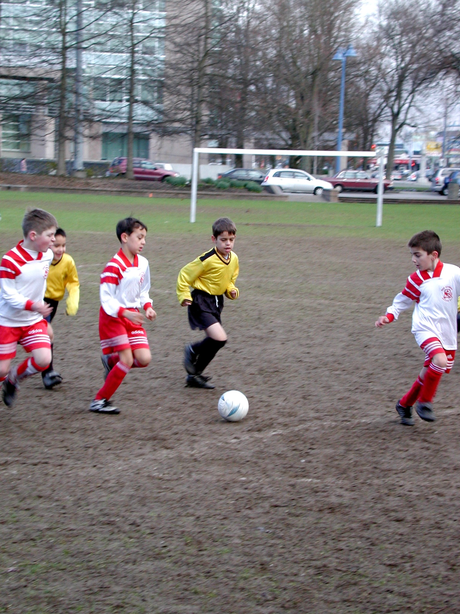 DSCN6351.JPG, 862053 bytes, 3/02/03