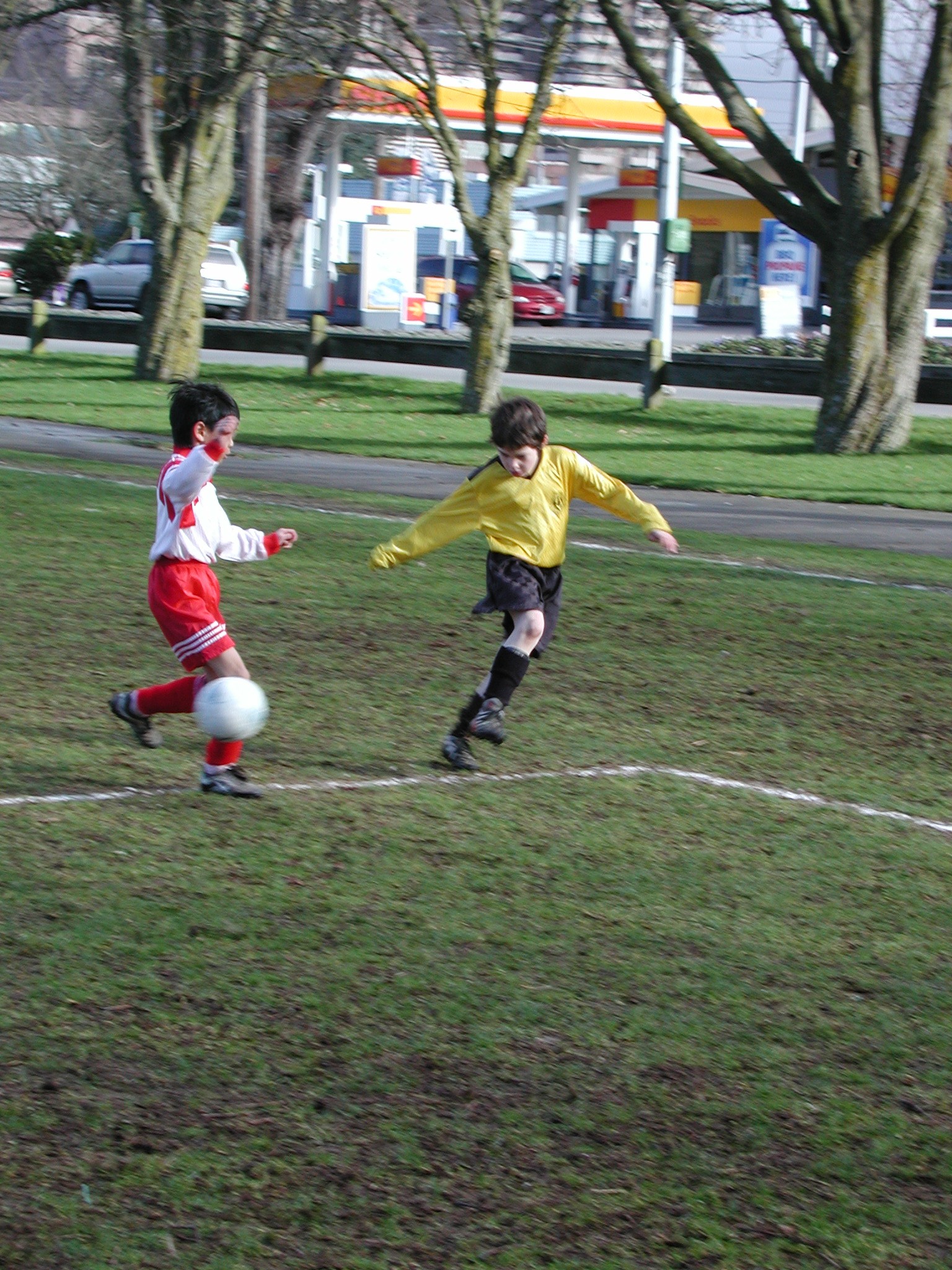 DSCN6357.JPG, 876008 bytes, 3/02/03