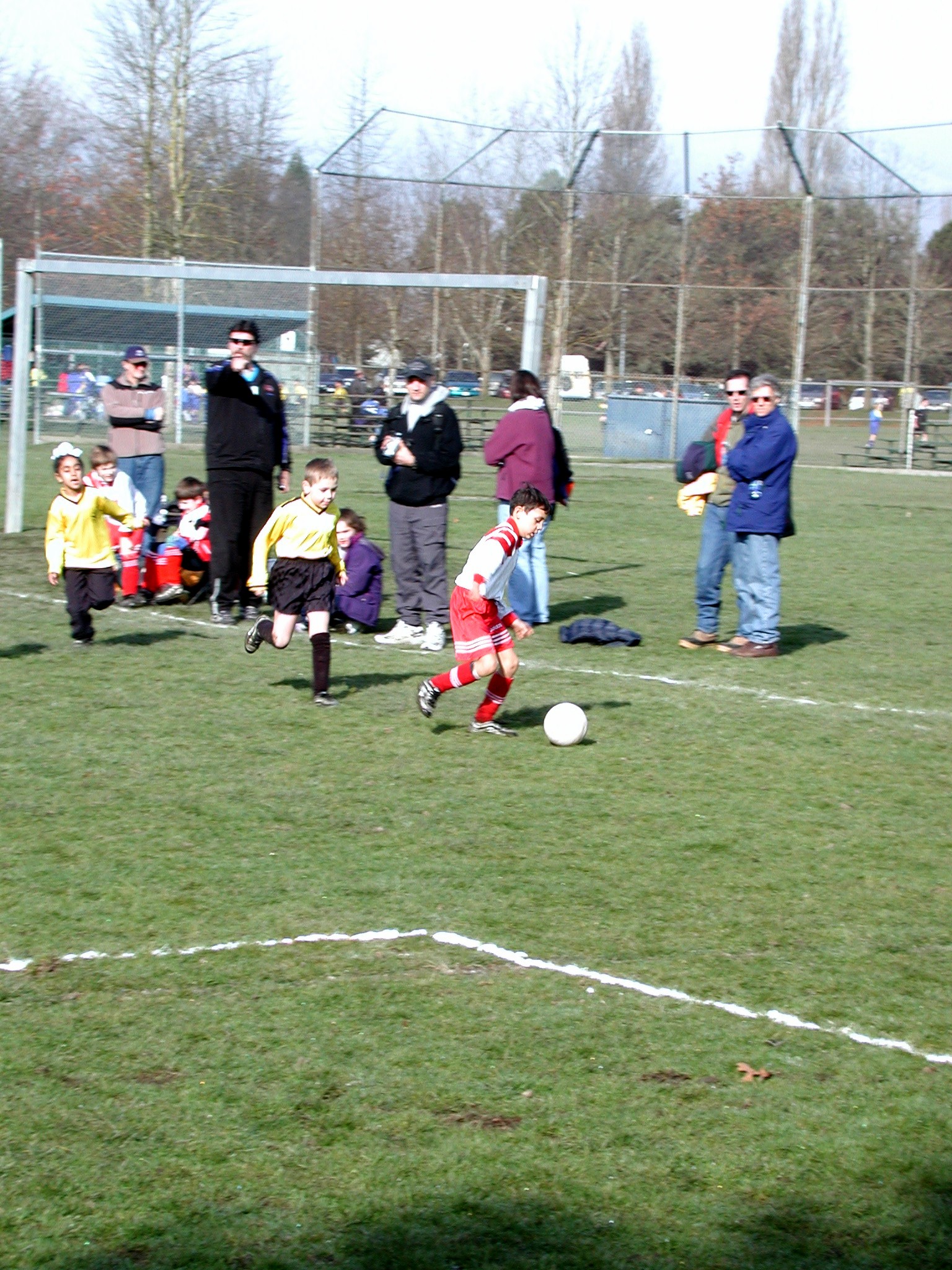DSCN6372.JPG, 848884 bytes, 3/02/03