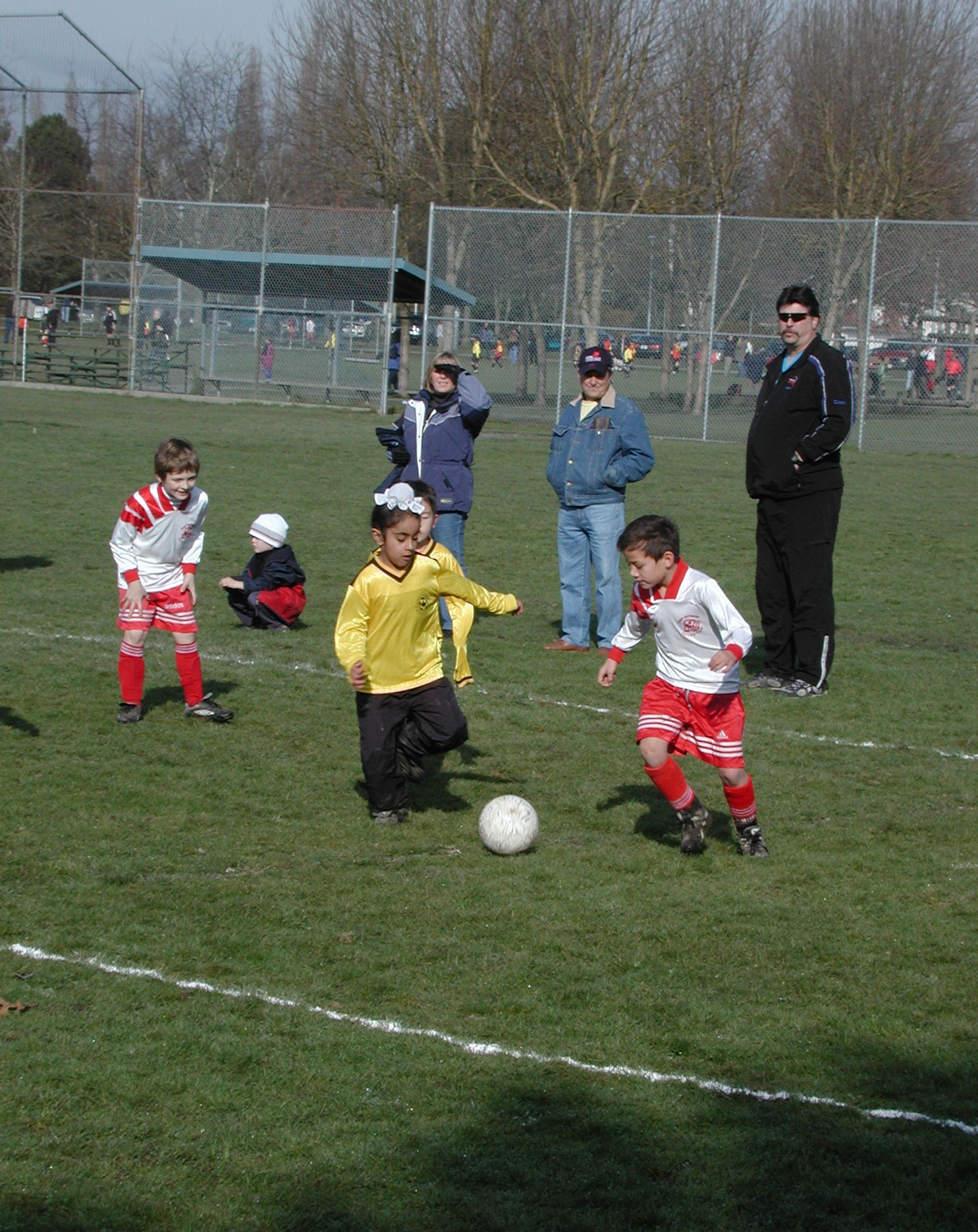 DSCN6377.JPG, 754962 bytes, 3/02/03