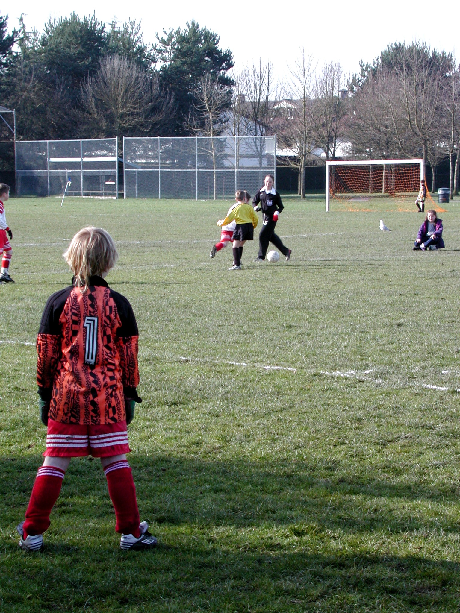 DSCN6381.JPG, 999702 bytes, 3/02/03