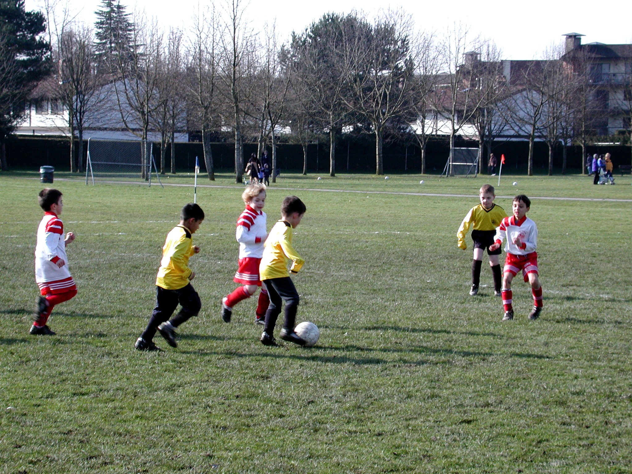 DSCN6385.JPG, 995473 bytes, 3/02/03