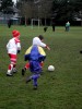 DSCN6274.JPG