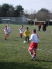 DSCN6383.JPG