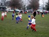 DSCN6398.JPG